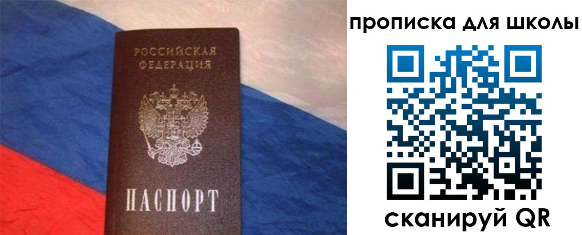 прописка поиск в Всеволожске